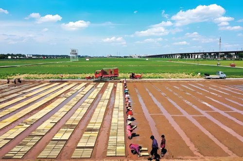 三门峡市陕州区2017年第五批补充耕地储备