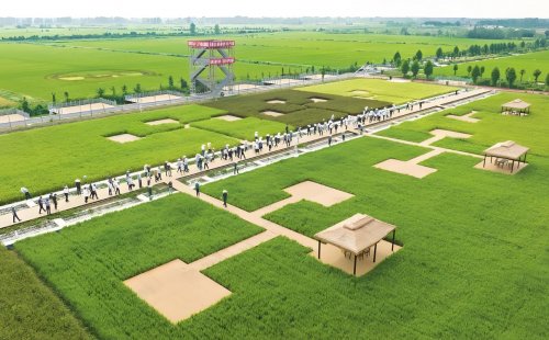 2022年淮滨县15.52万亩高标准农田建设项目