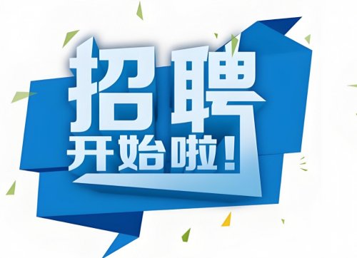 招聘招投标专员